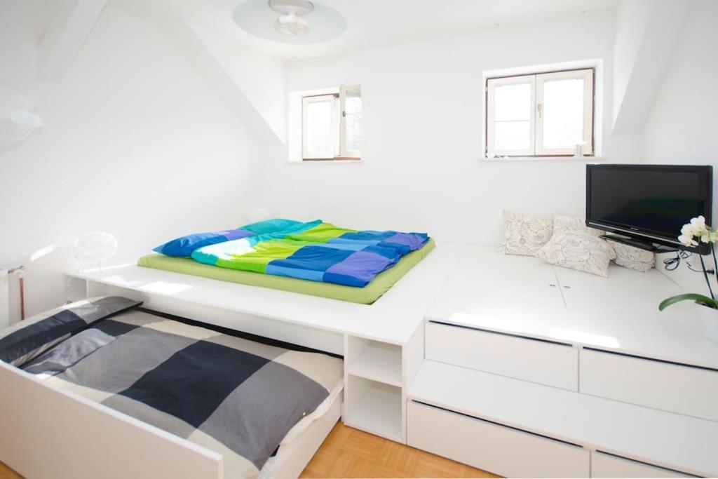 The Cute, Sunny Apartment In The Center +P Ljubljana Exterior photo